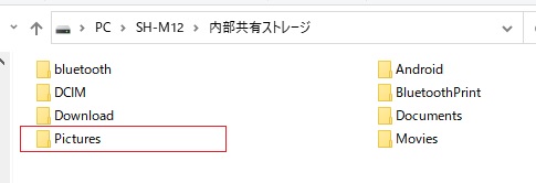 端末のpictureフォルダ